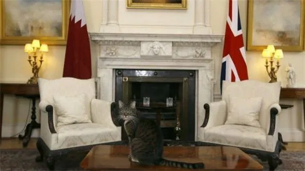 İngiltere Dışişleri Bakanlığı’nda bir kedi kadroya alındı