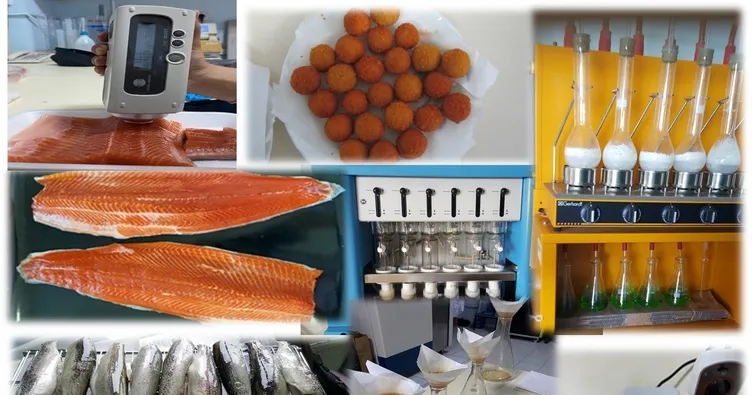 4 ülke ortak akıl yürütecek