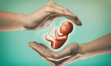 Tüp bebek tedavisi nasıl uygulanır? Tüp bebek nedir?