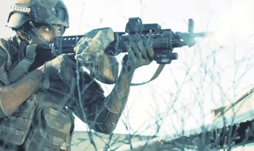 Hainleri çıldırtan dizi