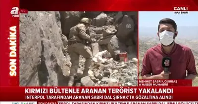 Son dakika: Interpol tarafından kırmızı bültenle aranan Sabri Dal isimli terörist Şırnak’ta yakalandı | Video
