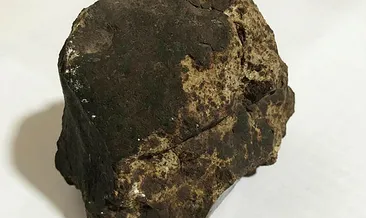 Ceviz ağacı dikerken meteorit buldu