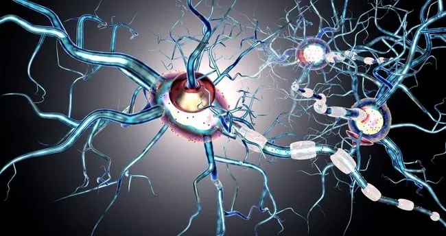 ms hastaliginin tedavisi nasil olur ms