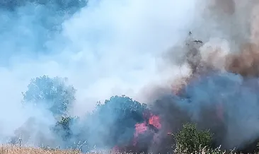 Malatya’da çıkan yangın kontrol altında!