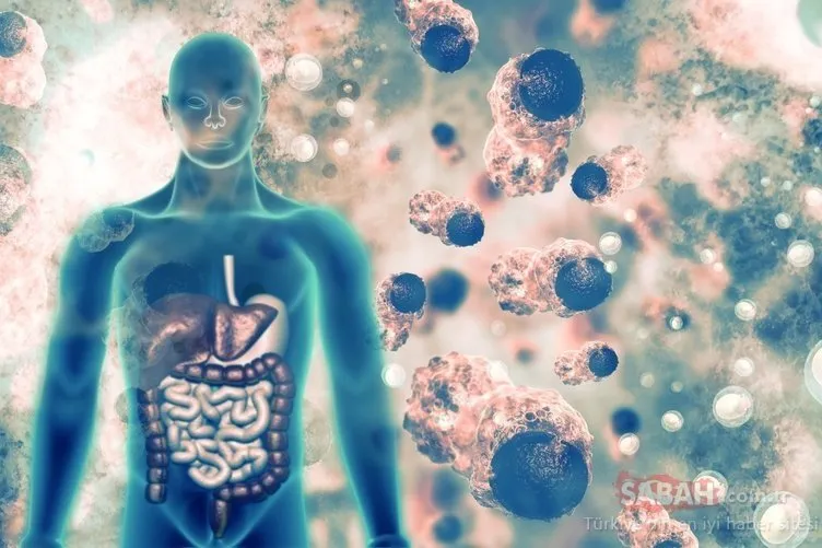 Vücudumuzda toksinlerin biriktiğini nasıl anlarız?