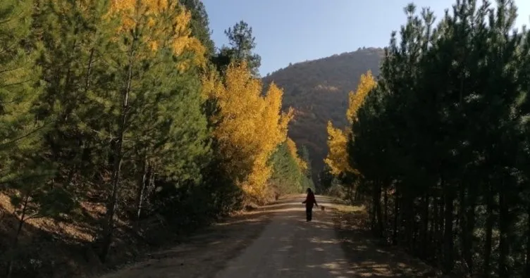 Kestane dağında sonbaharın renkleri