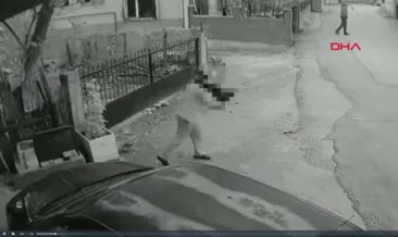Yavru köpeği kuyruğundan tutup yere fırlattı: O anlar kamerada! #kocaeli