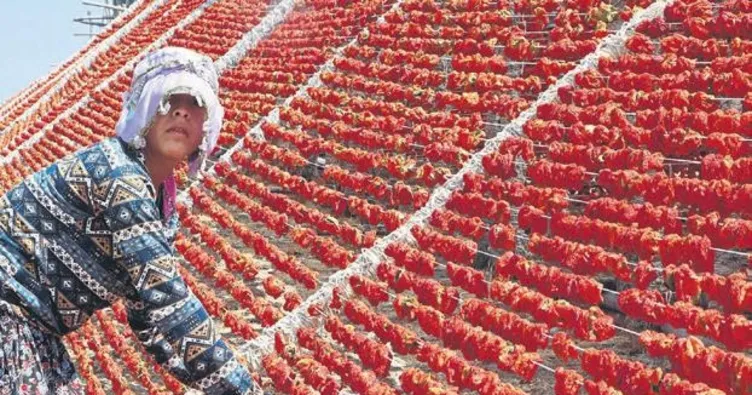 Oğuzeli ‘kurutmalıkları’ markalaşacak