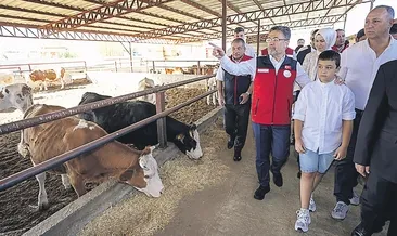 Et ithalatını önleyecek proje