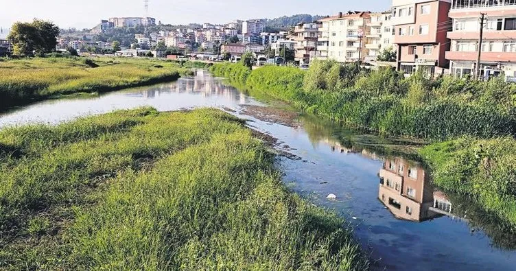 Alaplı Çayı çayıra döndü