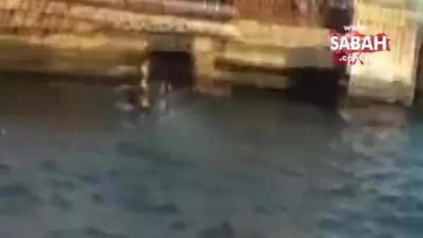 Beşiktaş'ta durağa dalan otobüsün şoförü denizden böyle çıkarıldı