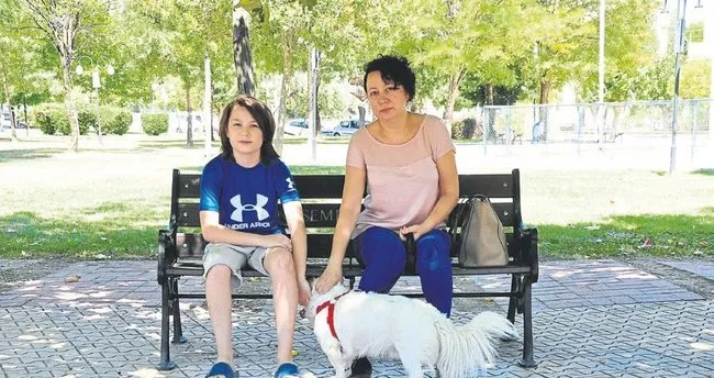 Sokak Kopekleri Korkulu Ruya Oldu Egeli Sabah Haberleri
