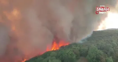 Slovenya’da orman yangını: 4 köy tahliye edildi | Video