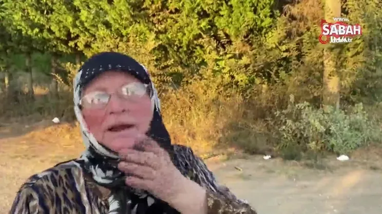 Kayıp ekonomist Korhan Berzeg'in köpeği köye geri döndü | Video