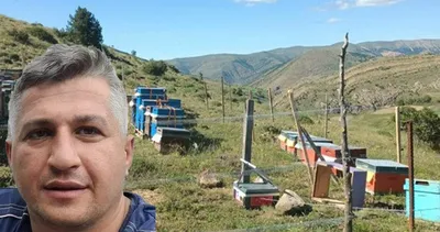 Bacağından arı soktu: Öldü!