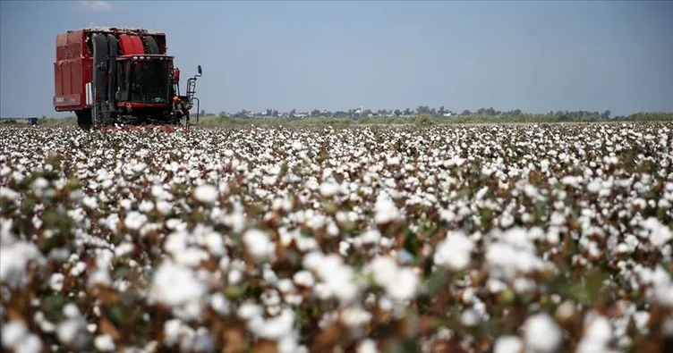 Antalya’da pamuk hasadı başladı