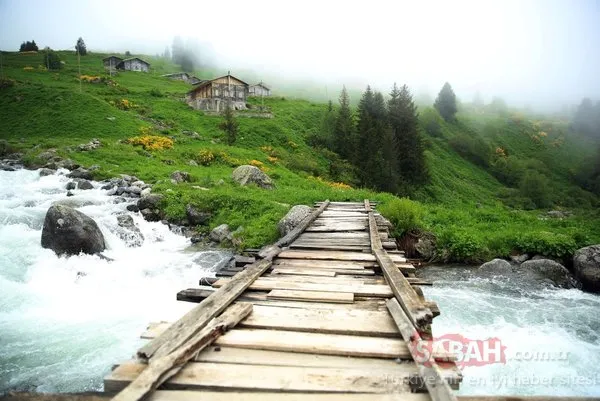 O bölgede dev turizm merkezi oluşturuluyor! 11 yeni 'Ayder' bulundu!