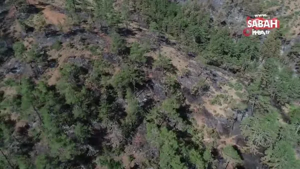 Orhaneli ve Çivili'deki orman yangınlarında sabotaj iddiası!