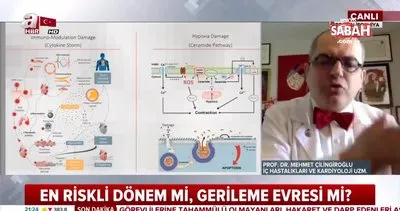 Koronavirüs hangi hastalıkları tetikliyor? Prof. Dr. Mehmet Çilingiroğlu değerlendirdi | Video