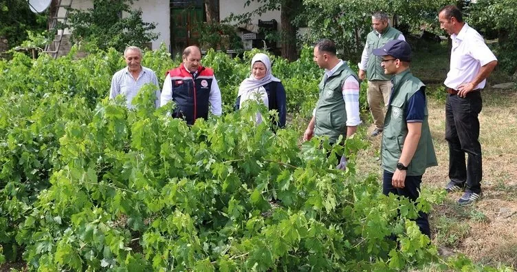 Üzümlü’de dolu zarar verdi