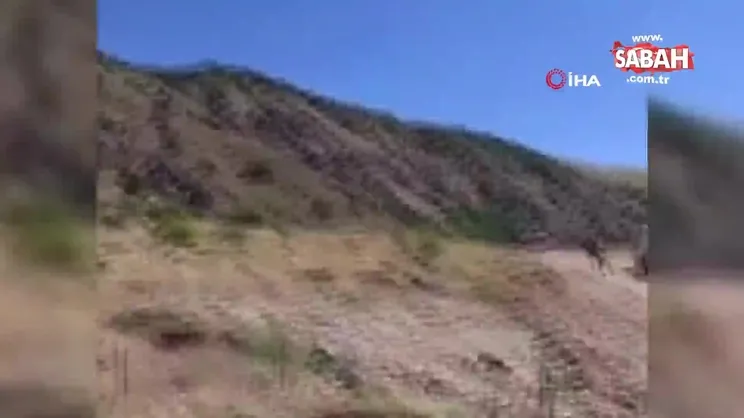 Bin adet keklik doğaya salındı | Video