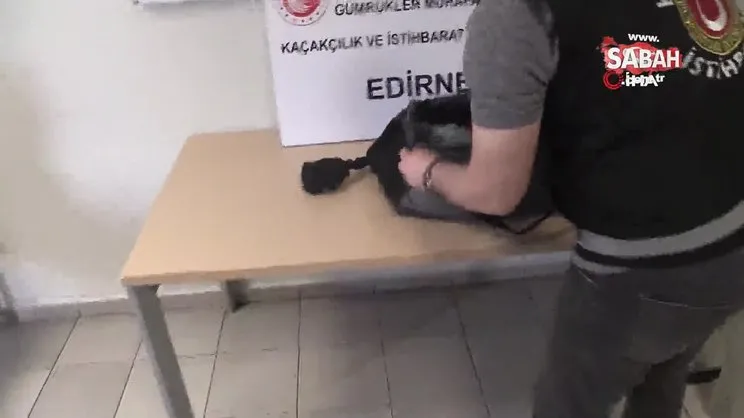 Piton yılanı kaçakçılığı pes dedirtti: Kapıkule’de 32 piton yılanı yakalandı | Video