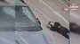 Yolun karşısına geçmeye çalışan kadına motosiklet çarptı: O anlar kamerada | Video
