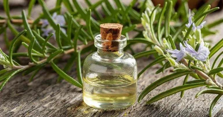 Biberiye Alzheimer’a karşı koruyor