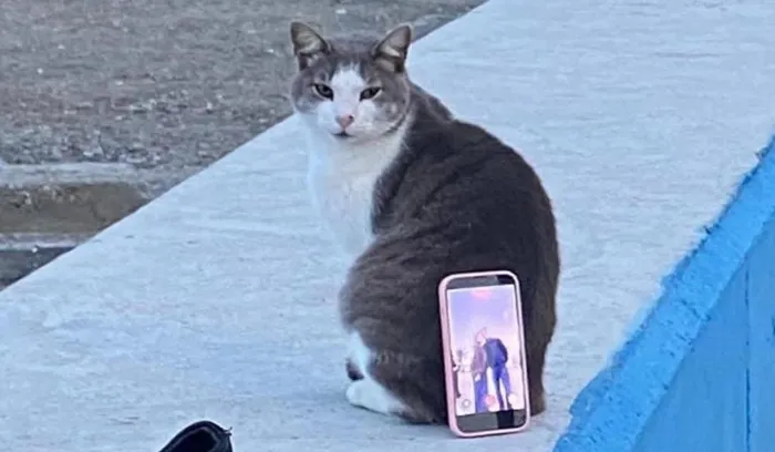 bursa-sahilinde-ilginc-fotograf-cozumu-tripod-yerine-kedi-kullandilar-1769520795785.jpg