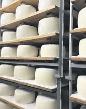 Şanlıurfa’nın peyniri ABD sofralarında