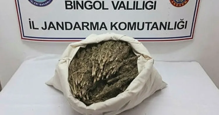 Bingöl’de 10 kilogram esrar ele geçirildi