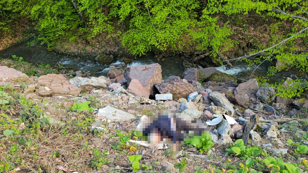 Düzce’de sır olay çözüldü: Cinayeti böyle itiraf etti! Düzce’de sır olay çözüldü: Cinayeti böyle itiraf etti!