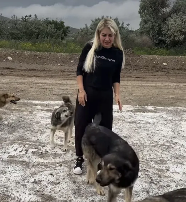 Köpekvelisi hesabının sahibi Buket Özgünlü hakkında korkunç iddialar! Kuduz risk bölgesinden 29 köpek kaçırmıştı