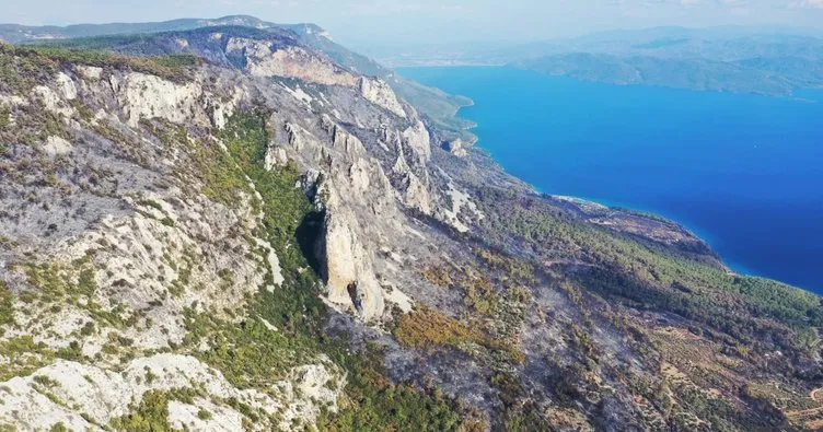 Muğla’daki orman yangınında 200 hektarlık alan zarar gördü: Acı tablo böyle görüntülendi!