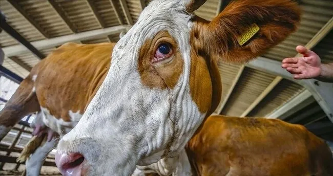 2021 kurban bayrami tarihleri