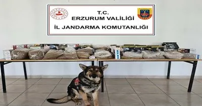 Jandarmadan kaçakçılara operasyon #erzurum