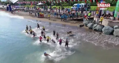 Yüzme yarışında ilginç olay! Denize atlayan köpek yorulunca deniz polisi kurtardı | Video