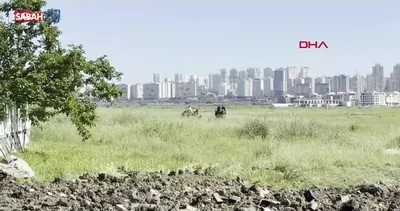 Esenyurt’ta kaçak kurban kesenlere ceza