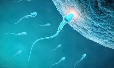 Sperm hareketinde azalma görülmesi ne anlama gelir?