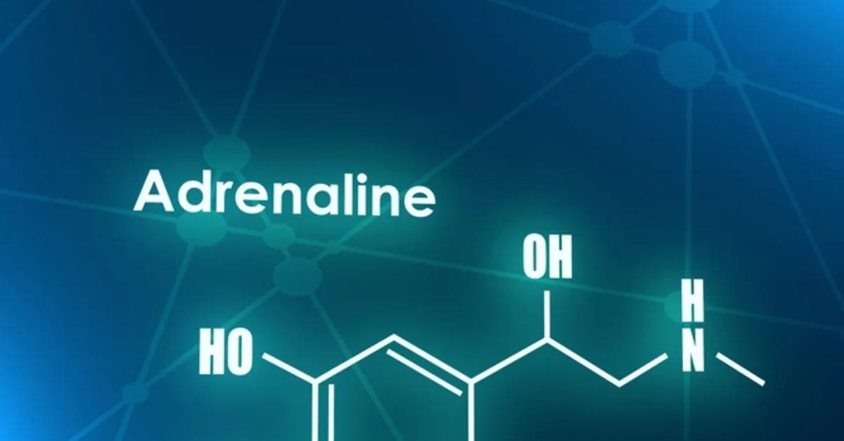 Adrenalin Hormonu Nasıl Düşürülür? Adrenalin Hormonu Yüksekliği Belirtileri ve Tedavi Yöntemleri Nelerdir? - Sağlık Haberleri