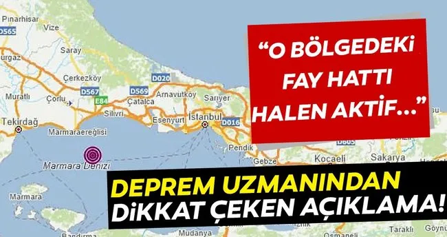 SON DAKİKA HABERİ: Uzman isimden korkutan Marmara depremi açıklaması! “ O bölgedeki fay hattı halen aktif...