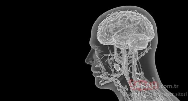Sma Nedir Neden Olur Tedavisi Var Mi Sma Hastaligi Kimlerde Ne Siklikla Gorulur Sma Taramasi Nedir Ve Kimlere Yapilir Galeri Yasam