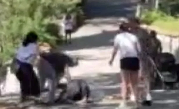 Maçka Parkı’nda dehşete düşüren görüntü: Kendisini uyaran kadın ve adama kabusu yaşattı!