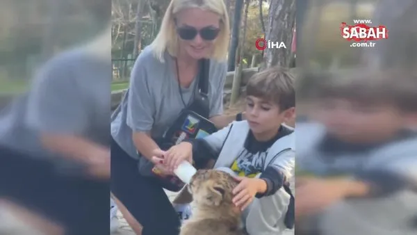 Ünlü oyuncu Ece Erken 3 aylık yavru aslanı elleriyle besledi | Video