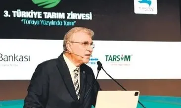 Sakarya Büyükşehir Belediye Başkanı Ekrem Yüce: 700 ton domates rekorunu kırdık