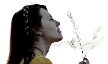 Bir çağın iç sesi