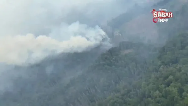 Çekya’daki orman yangınında bin hektarlık alan kül oldu | Video