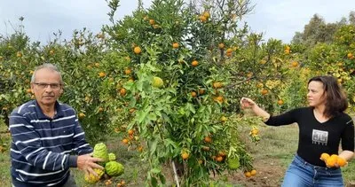 CHP’li Belediyeden tarıma hançer #mugla
