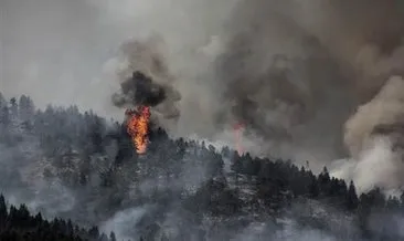 Kütahya’daki orman yangını 5 gün sonra kontrol altına alındı