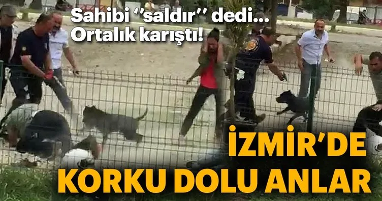 İzmir’de pitbull dehşeti! Bu kez de polislere saldırdı...